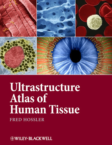Ultrastructure Atlas of Human Tissues book cover by Fred Hossler