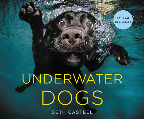 Underwater Dogs book cover by Seth Casteel