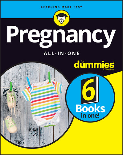 Pregnancy All-in-One For Dummies book cover by The Experts at Dummies