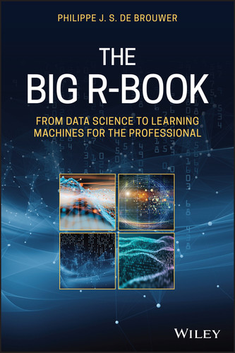 The Big R-Book: From Data Science to Learning Machines and Big Data book cover by Philippe J. S. De Brouwer