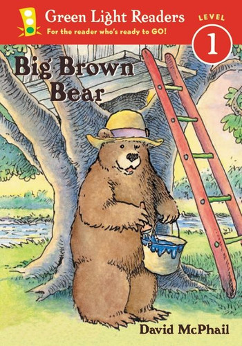 Big Brown Bear (Big Brown Bear #1) book cover by David McPhail