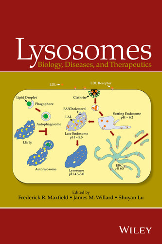 Lysosomes: Biology, Diseases, and Therapeutics book cover by 