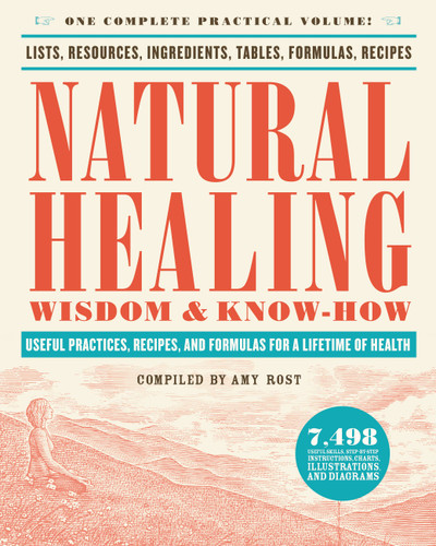 Natural Healing Wisdom & Know How: Useful Practices, Recipes, and Formulas for a Lifetime of Health (Wisdom & Know-How) book cover by 
