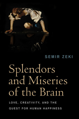 Splendors and Miseries of the Brain: Love, Creativity, and the Quest for Human Happiness book cover by Semir Zeki