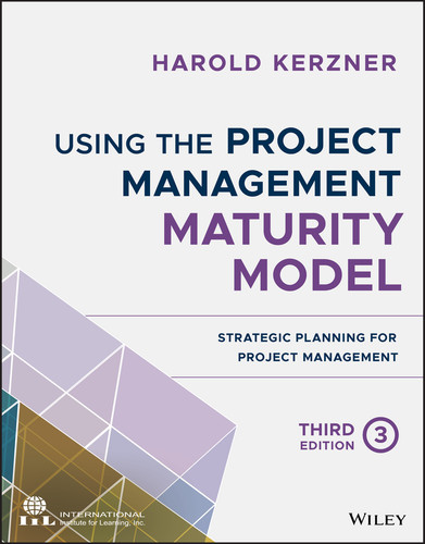 Using the Project Management Maturity Model: Strategic Planning for Project Management book cover by Harold Kerzner