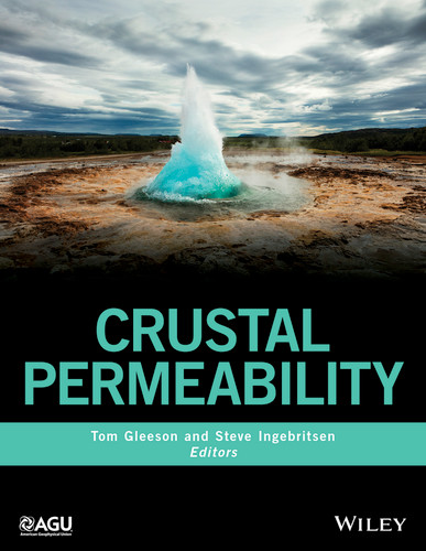 Crustal Permeability (Wiley Works) book cover by 