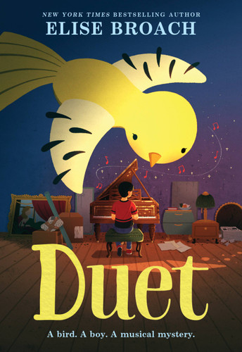 Duet book cover by Elise Broach