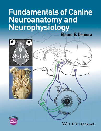 Fundamentals of Canine Neuroanatomy and Neurophysiology book cover by Etsuro E. Uemura