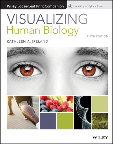 Visualizing Human Biology (Visualizing Series) book cover by Kathleen A. Ireland