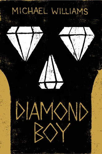 Diamond Boy book cover by Michael Williams