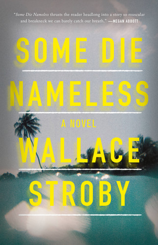 Some Die Nameless book cover by Wallace Stroby