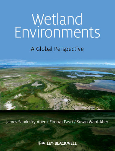 Wetland Environments: A Global Perspective book cover by James S. Aber, Firooza Pavri, Susan E. W. Aber