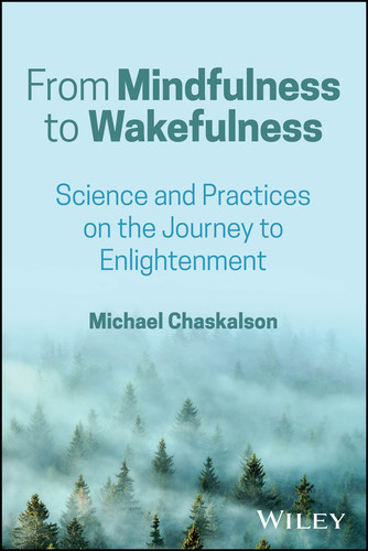 From Mindfulness to Wakefulness: Science and Practices on the Journey to Enlightenment book cover by Michael Chaskalson
