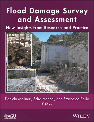 Flood Damage Survey and Assessment: New Insights from Research and Practice (Geophysical Monograph Series) book cover by 
