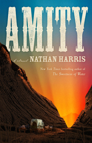 Amity: A Novel book cover by Nathan Harris