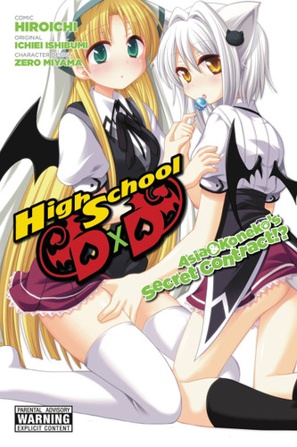 High School DxD: Asia & Koneko's Secret Contract!? (High School DxD: Asia & Koneko's Secret Contract!?) book cover by Ichiei Ishibumi