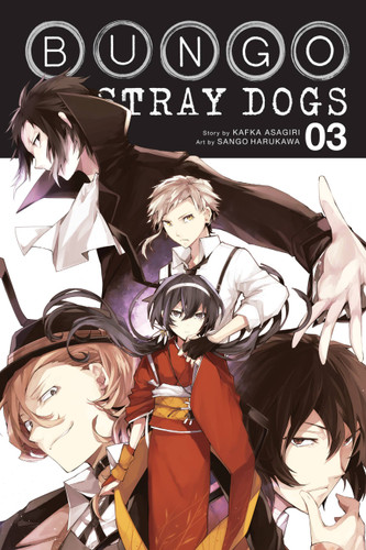 Bungo Stray Dogs, Vol. 3 (Bungo Stray Dogs #3) book cover by Kafka Asagiri