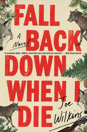 Fall Back Down When I Die book cover by Joe Wilkins