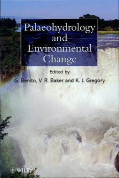 Palaeohydrology and Environmental Change book cover by K. J. Gregory