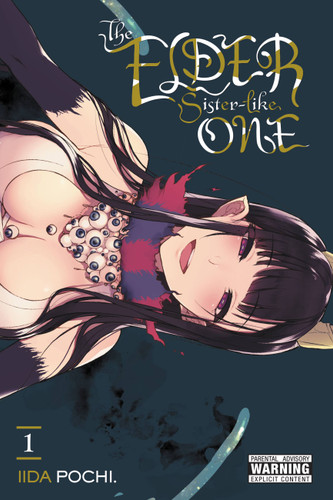 The Elder Sister-Like One, Vol. 1 (The Elder Sister-Like One #1) book cover by Iida Pochi.