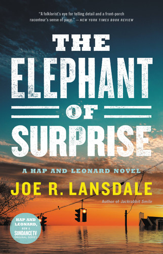 The Elephant of Surprise (Hap and Leonard) book cover by Joe R. Lansdale