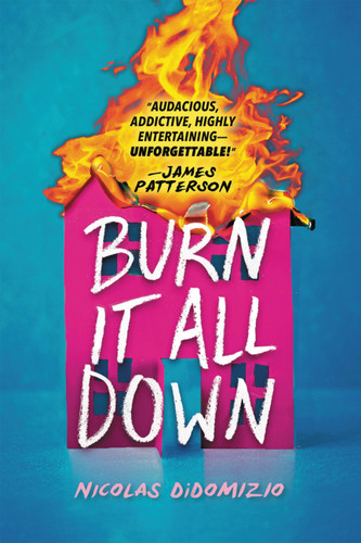 Burn It All Down book cover by Nicolas DiDomizio
