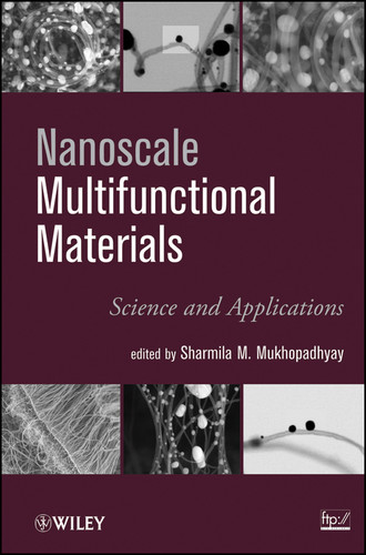 Nanoscale Multifunctional Materials: Science and Applications book cover by 