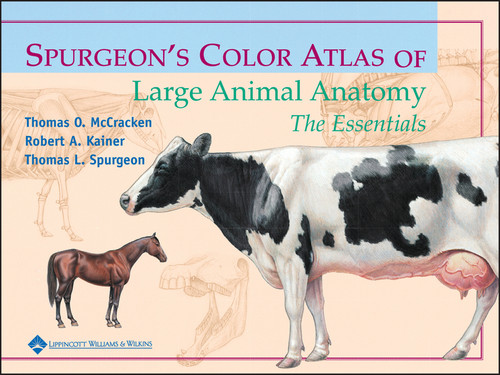 Spurgeon's Color Atlas of Large Animal Anatomy: The Essentials book cover by Thomas O. McCracken, Robert A. Kainer, Thomas L. Spurgeon