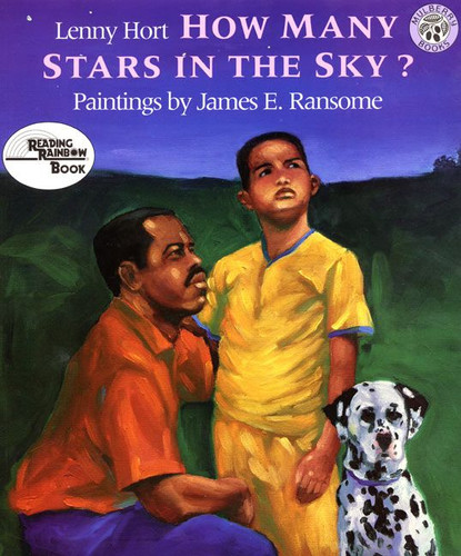 How Many Stars in the Sky? book cover by Lenny Hort