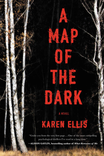 A Map of the Dark (The Searchers #1) book cover by Karen Ellis