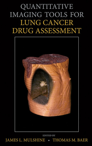 Quantitative Imaging Tools for Lung Cancer Drug Assessment book cover by 