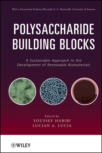 Polysaccharide Building Blocks: A Sustainable Approach to the Development of Renewable Biomaterials book cover by Youssef Habibi, Lucian A. Lucia