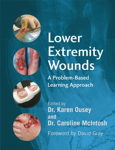 Lower Extremity Wounds: A Problem-Based Approach book cover by 