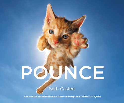 Pounce book cover by Seth Casteel
