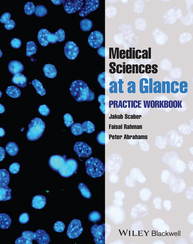 Medical Sciences at a Glance: Practice Workbook (At a Glance) book cover by Jakub Scaber, Faisal Rahman, Peter Abrahams