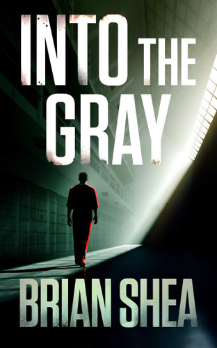 Into the Gray (Boston Crime Thrillers) book cover by Brian Shea