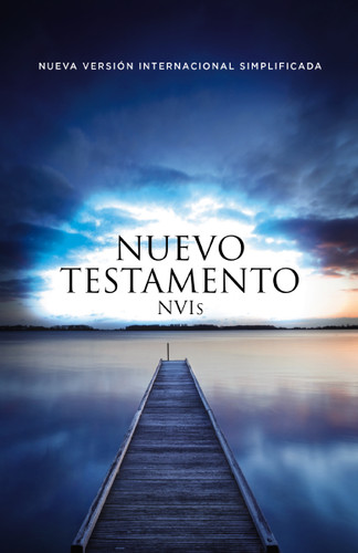 NVI Simplificada, Nuevo Testamento, Tapa Rústica book cover by Vida