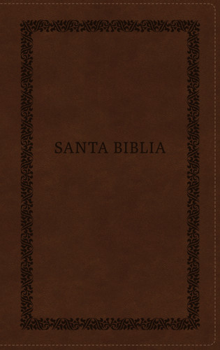 RVR60, Santa Biblia, Tierra Santa, Letra grande, Leathersoft, Café, con Cierre, Palabras de Jesús en Rojo, Comfort Print book cover by Vida, RVR 1960- Reina Valera 1960