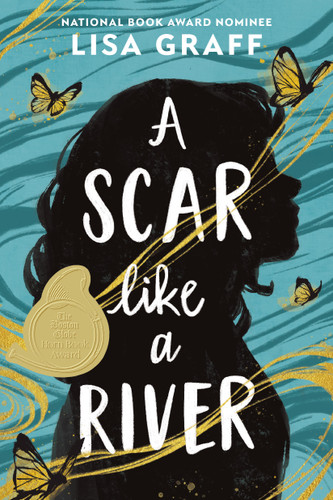 A Scar like a River book cover by Lisa Graff