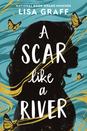 A Scar like a River book cover by Lisa Graff