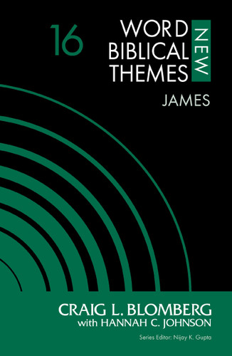 John, Volume 4 (New Word Biblical Themes: New Testament) book cover by Dorothy A. Lee