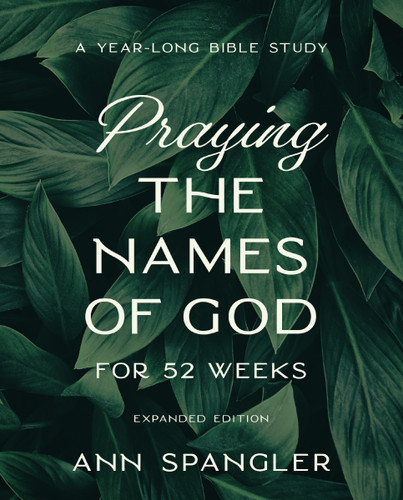 Praying the Names of God for 52 Weeks, Expanded Edition: A Year-Long Bible Study book cover by Ann Spangler