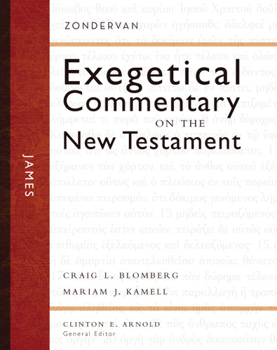 James (Zondervan Exegetical Commentary on the New Testament) book cover by Craig L. Blomberg, Mariam J. Kovalishyn