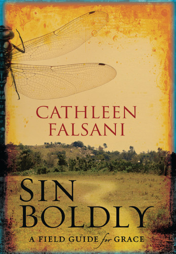 Sin Boldly: A Field Guide for Grace book cover by Cathleen Falsani