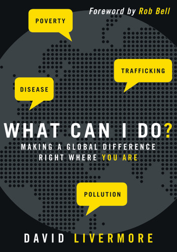 What Can I Do?: Making a Global Difference Right Where You Are book cover by David Livermore