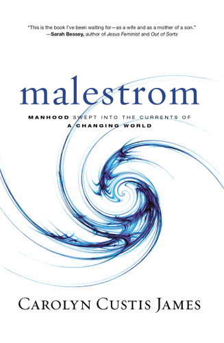 Malestrom: Manhood Swept into the Currents of a Changing World book cover by Carolyn Custis James