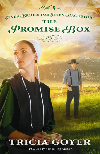 The Promise Box book cover by Tricia Goyer