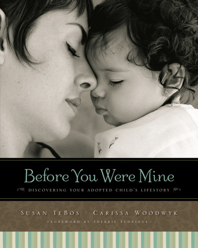 Before You Were Mine: Discovering Your Adopted Child’s Lifestory book cover by Susan TeBos, Carissa Woodwyk