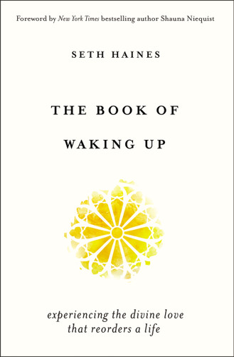 The Book of Waking Up: Experiencing the Divine Love That Reorders a Life book cover by Seth Haines