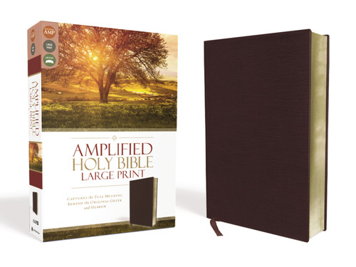 Amplified Holy Bible, Large Print, Bonded Leather, Burgundy: Captures the Full Meaning Behind the Original Greek and Hebrew book cover by Zondervan